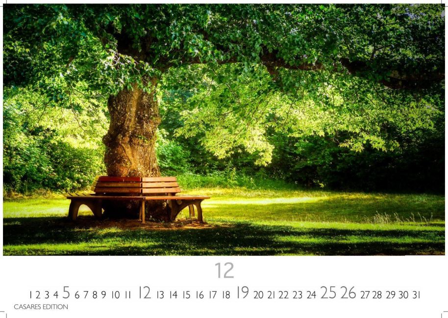 InsideView 12