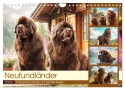 Neufundländer. Imposante Riesen mit sanfter Seele (Wandkalender 2026 DIN A4 quer), CALVENDO Monatskalender - Rose Hurley