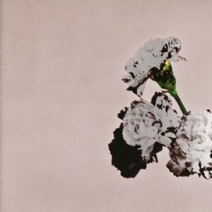 Love In The Future (Special Edition) - John Legend