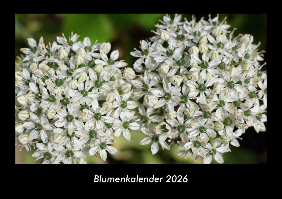 Blumenkalender 2026 Fotokalender DIN A3 - Tobias Becker