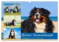 Berner Sennenhunde - Traumhunde mit Charme (Wandkalender 2024 DIN A3 quer), CALVENDO Monatskalender - Jana K. Fotografie