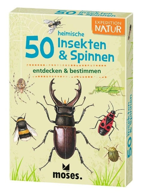 Expedition Natur 50 heimische Insekten & Spinnen - Carola von Kessel, Thomas Müller
