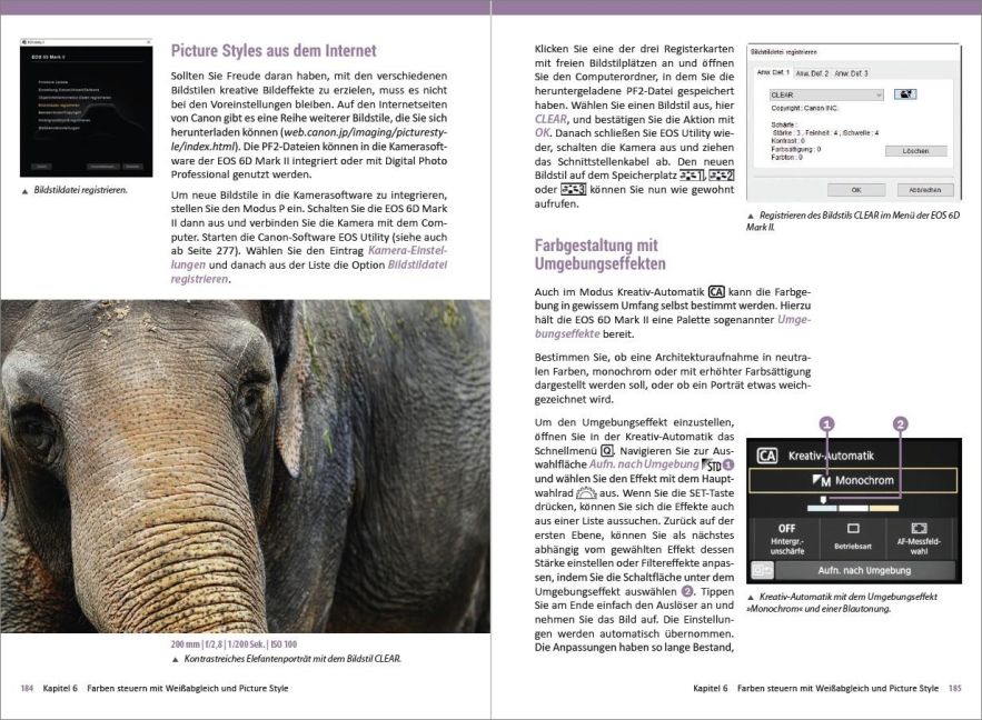 InsideView 8