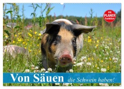 Von Säuen die Schwein haben! (Wandkalender 2025 DIN A2 quer), CALVENDO Monatskalender - Elisabeth Stanzer