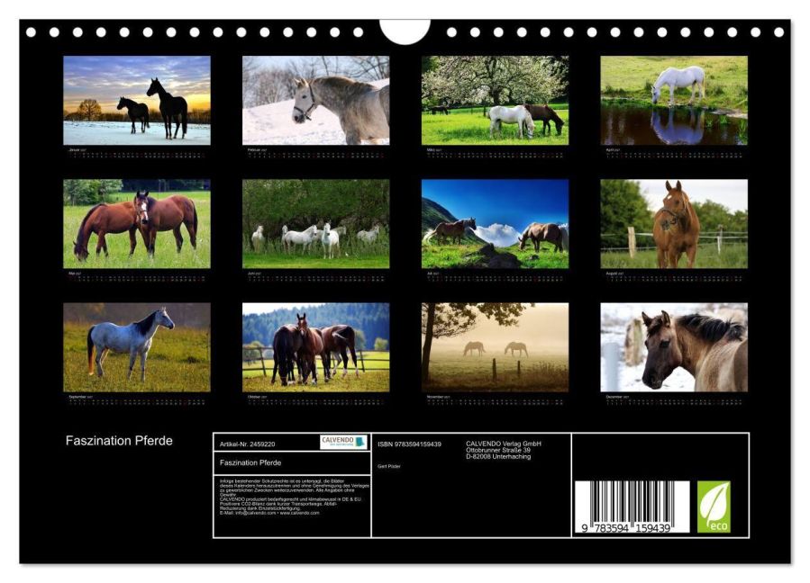 InsideView 5