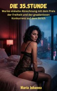 Cover-Bild zum Titel 'Die 35. Stunde' von 'Maria Johanna'