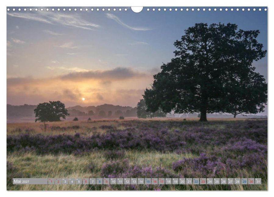 InsideView 10