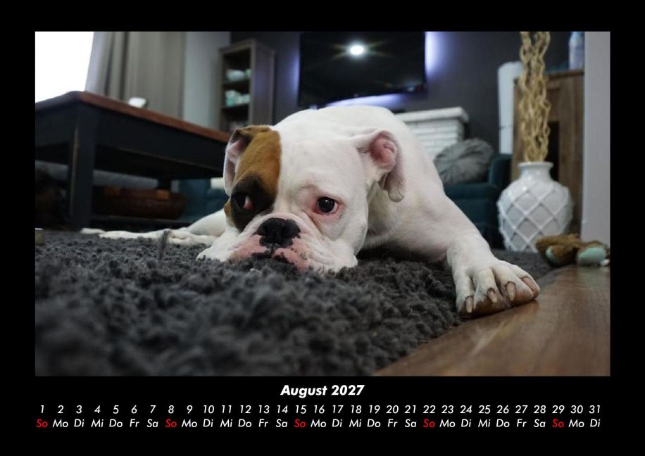 InsideView 12