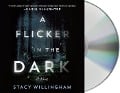 Cover-Bild zum Titel 'A Flicker in the Dark' von 'Stacy Willingham'