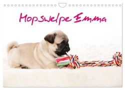 Mopswelpe Emma (Wandkalender 2026 DIN A4 quer), CALVENDO Monatskalender - Sophie Tiller