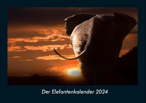 Der Elefantenkalender 2024 Fotokalender DIN A4 - Tobias Becker