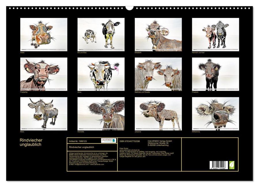 InsideView 5