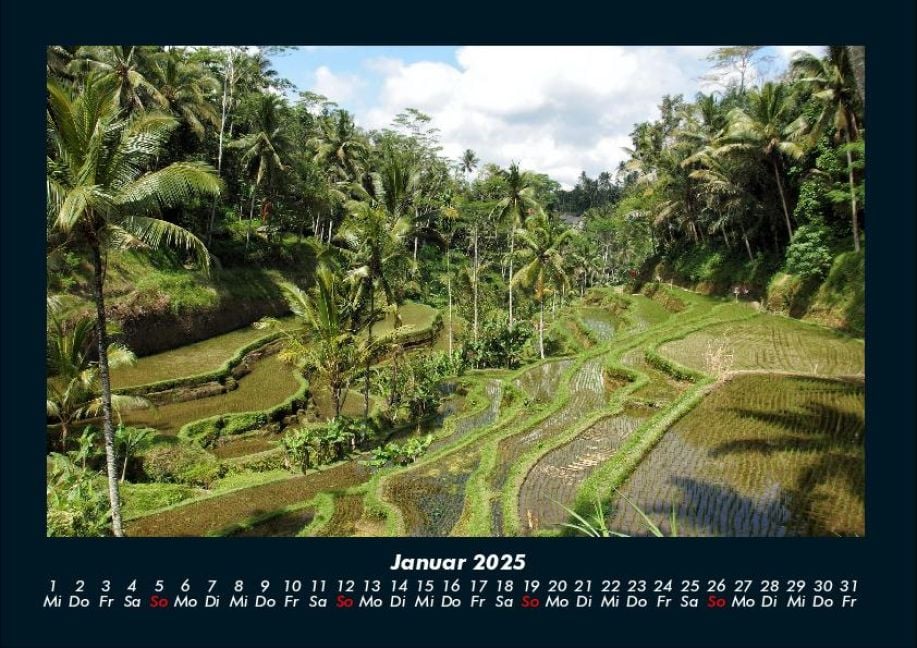 InsideView 5