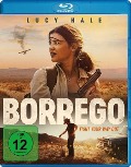 Cover-Bild zum Titel 'Borrego' von 'Jesse Harris, The Newton Brothers'