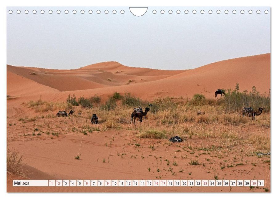 InsideView 10