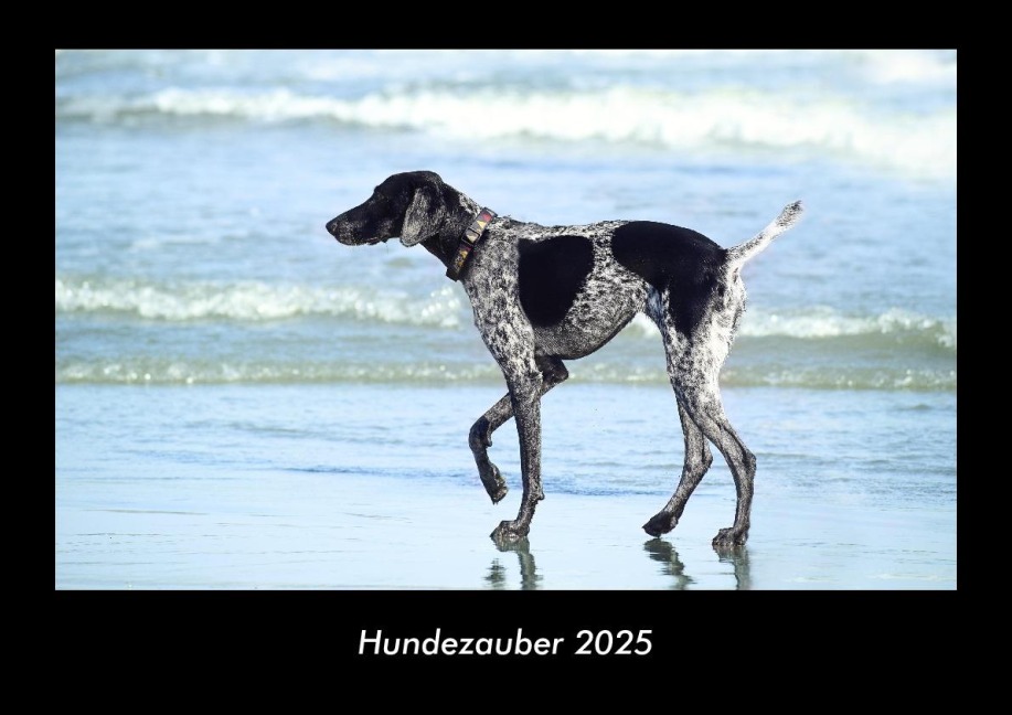 Hundezauber 2025 Fotokalender DIN A3 - Tobias Becker