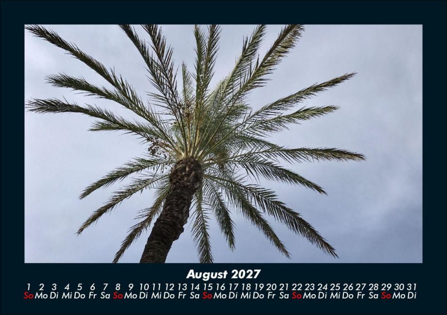 InsideView 12