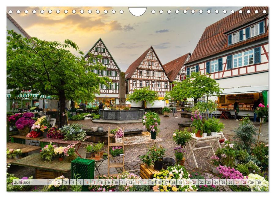 InsideView 11