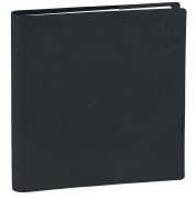 Cover-Bild zum Titel 'EXECUTIF R ML eunoia carbon grau 2027' von ''