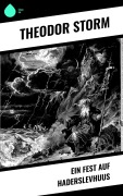 Cover-Bild zum Titel 'Ein Fest auf Haderslevhuus' von 'Theodor Storm'