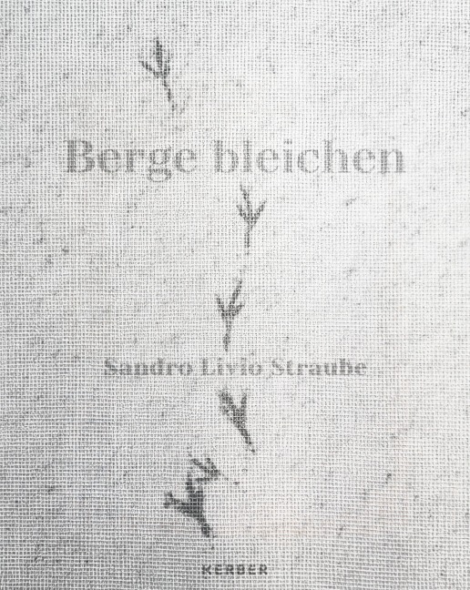 Sandro Livio Straube - 