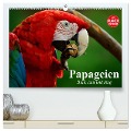 Papageien. Bunt, laut und klug (hochwertiger Premium Wandkalender 2025 DIN A2 quer), Kunstdruck in Hochglanz - Elisabeth Stanzer