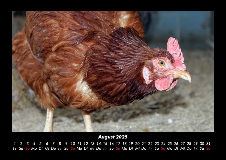 InsideView 12