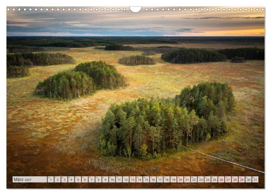 InsideView 8