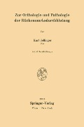 Zur Orthologie und Pathologie der Rückenmarksdurchblutung - Kurt Jellinger