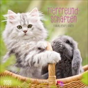 Cover-Bild zum Titel 'Tierfreundschaften - Familientimer 2026' von ''