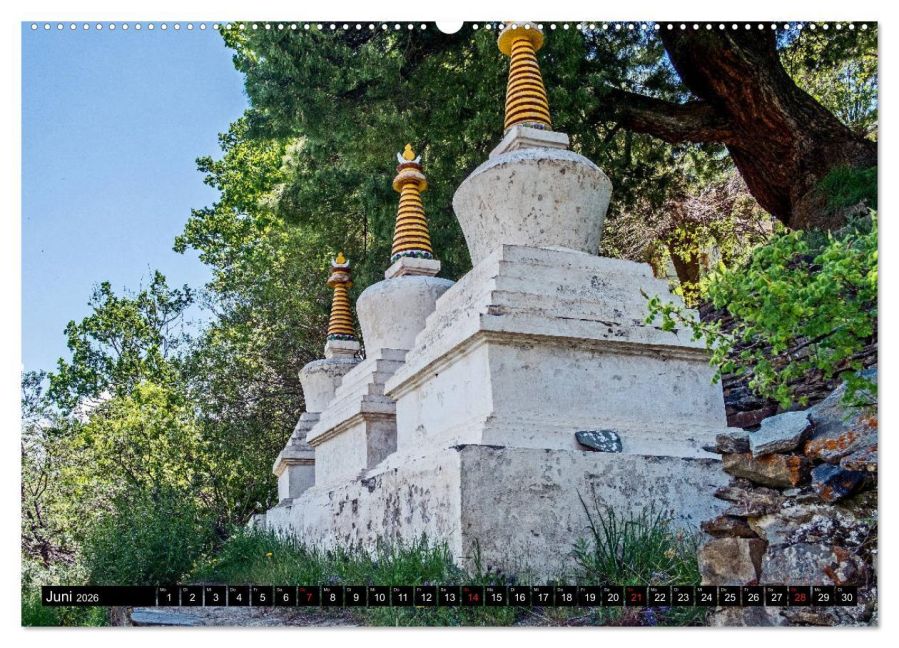 InsideView 11