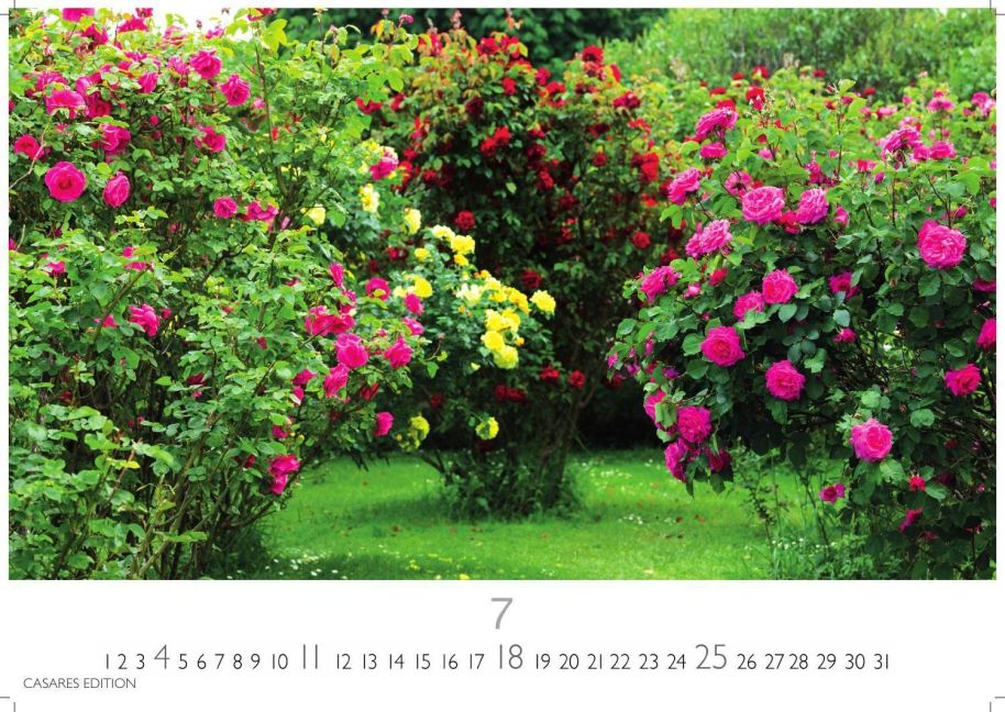 InsideView 7