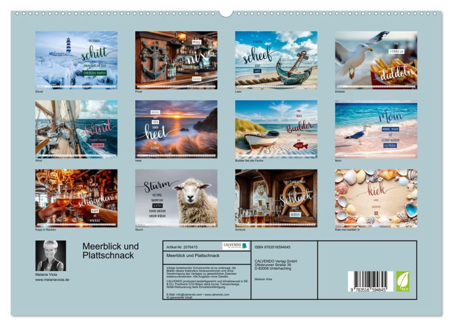 InsideView 4