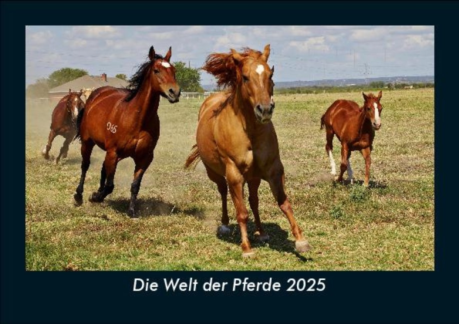 Die Welt der Pferde 2025 Fotokalender DIN A5 - Tobias Becker