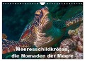 Meeresschildkröten, die Nomaden der Meere (Wandkalender 2024 DIN A4 quer), CALVENDO Monatskalender - Dieter Gödecke