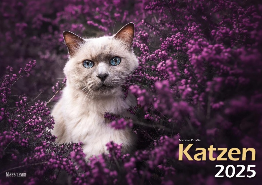 Katzen 2025 Bildkalender A3 quer - Natalie Große - 