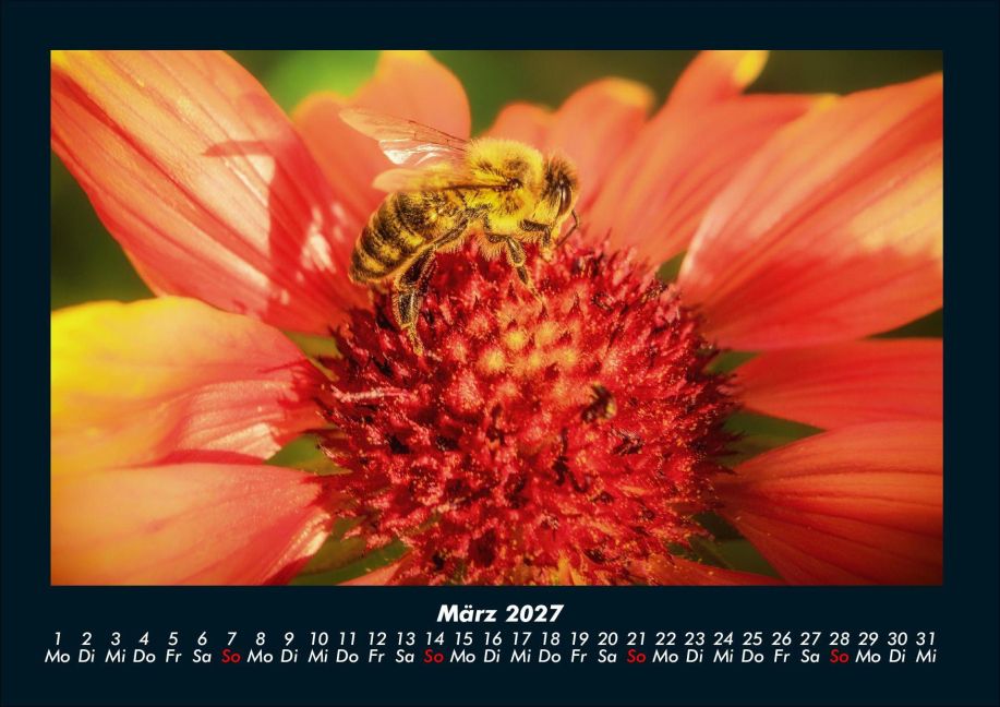 InsideView 7