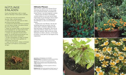 InsideView 8