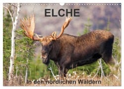 Cover-Bild zum Titel 'ELCHE In den nördlichen Wäldern (Wandkalender 2026 DIN A3 quer), CALVENDO Monatskalender' von 'Philippe Henry'