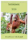 Familienplaner 2025 - Orang Utans im Dschungel (Tischkalender 2025 DIN A5 hoch), CALVENDO Monatskalender - Daniel Heiss Photography