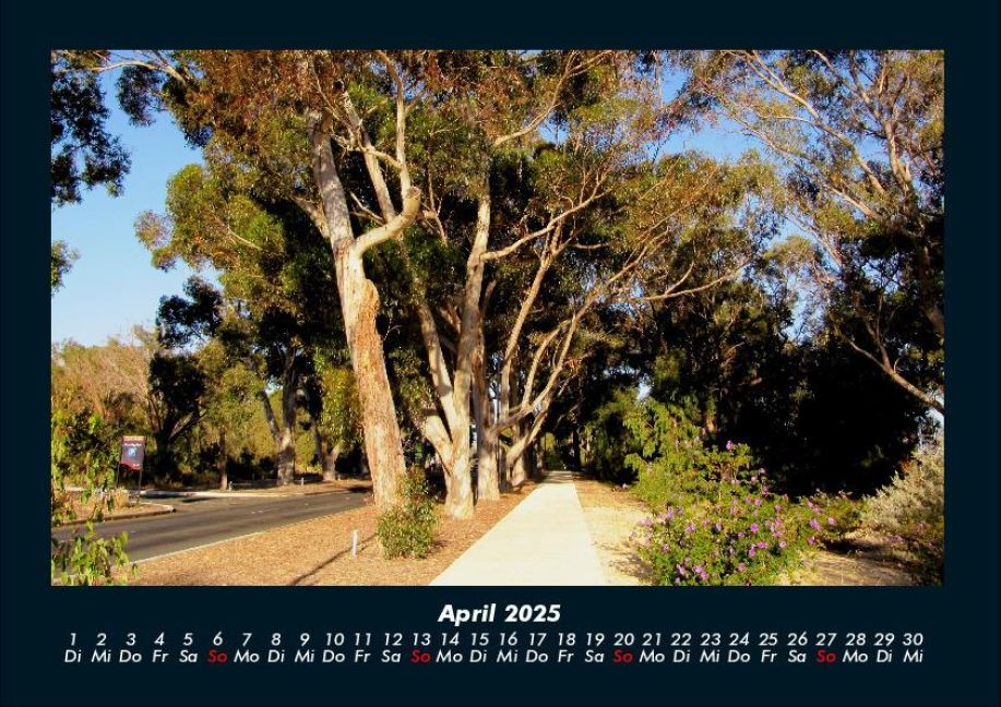 InsideView 8