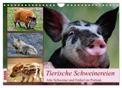 Cover-Bild zum Titel 'Tierische Schweinereien (Wandkalender 2026 DIN A4 quer), CALVENDO Monatskalender' von 'Claudia Kleemann'