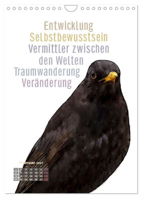InsideView 7