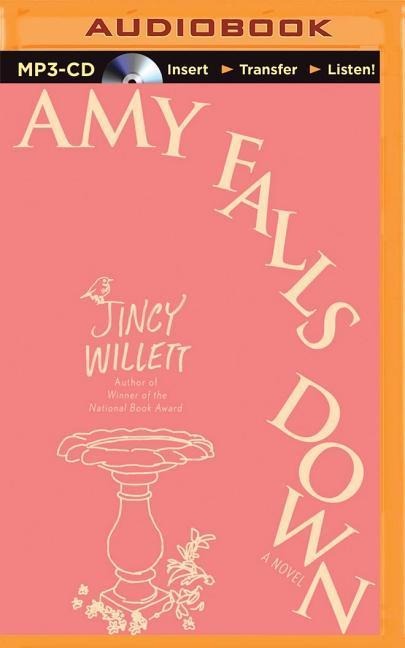 Amy Falls Down - Jincy Willett