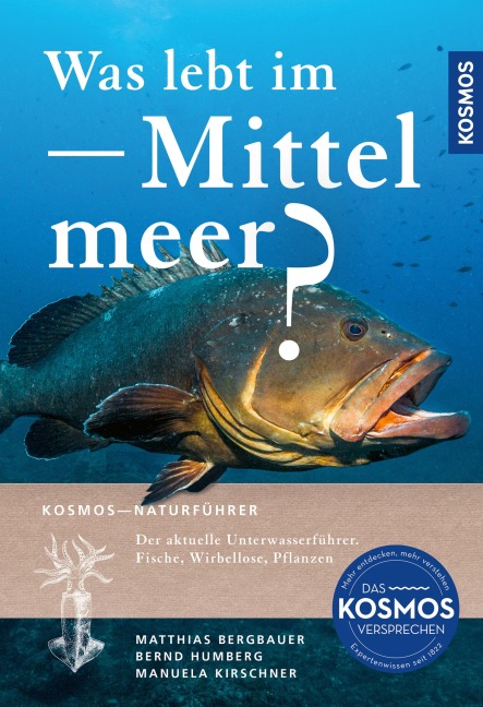 Was lebt im Mittelmeer? - Matthias Bergbauer, Manuela Kirschner, Bernd Humberg