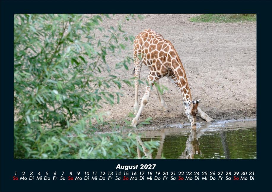 InsideView 12