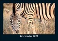 Zebrazauber 2022 Fotokalender DIN A5 - Tobias Becker