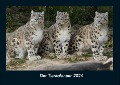 Der Tierkalender 2024 Fotokalender DIN A4 - Tobias Becker