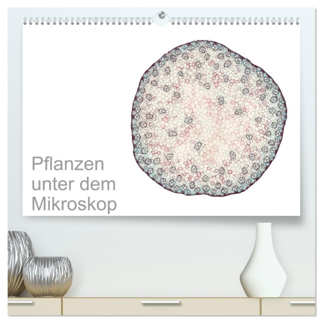 Pflanzen unter dem Mikroskop (hochwertiger Premium Wandkalender 2026 DIN A2 quer), Kunstdruck in Hochglanz - Martin Schreiter