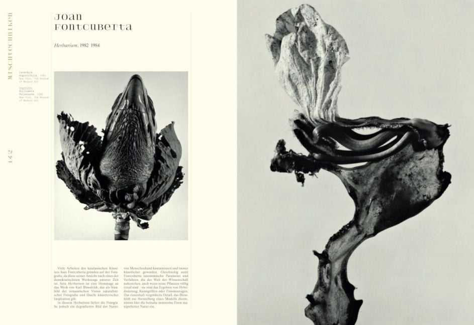 InsideView 10